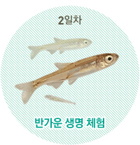 2일 반가운 생명 체험